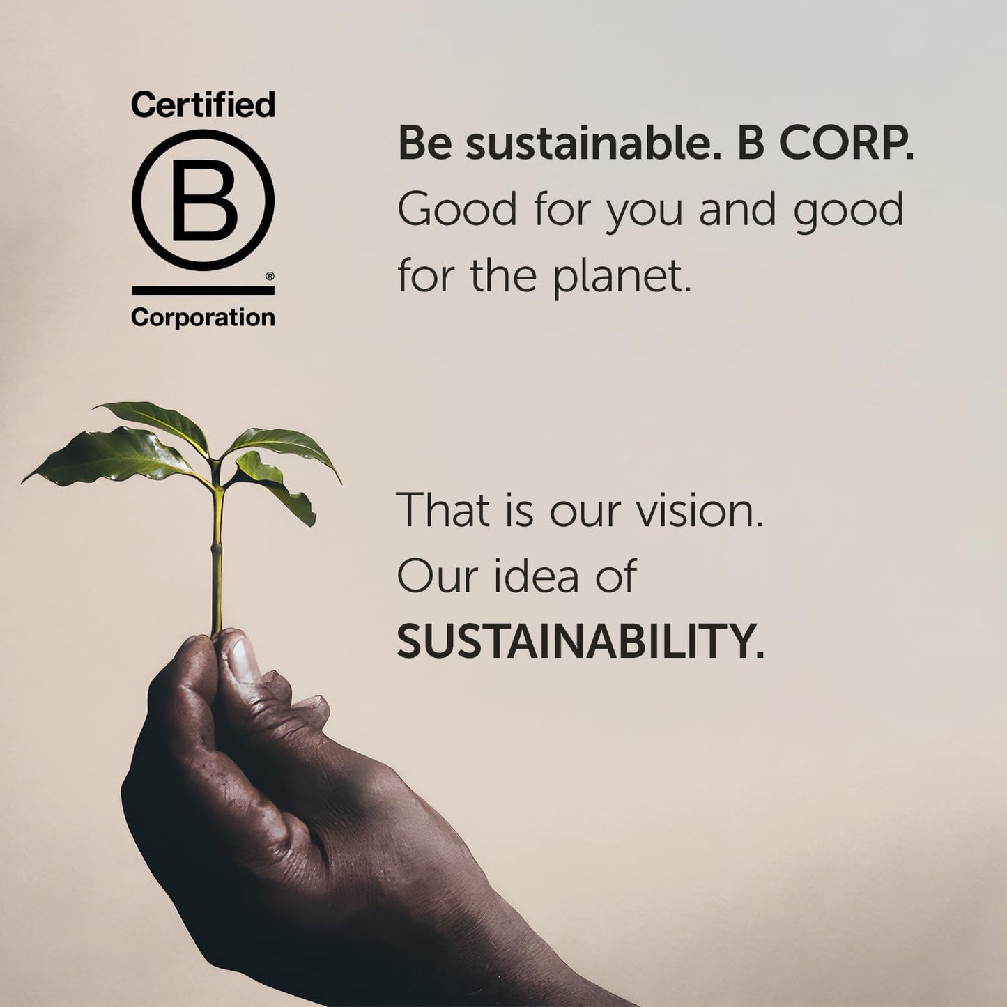 illy Arabica Selections Brasile - Cerrado Mineiro Whole Bean Coffee, Regenerative Agriculture Coffee, 8.8oz (Pack of 1)