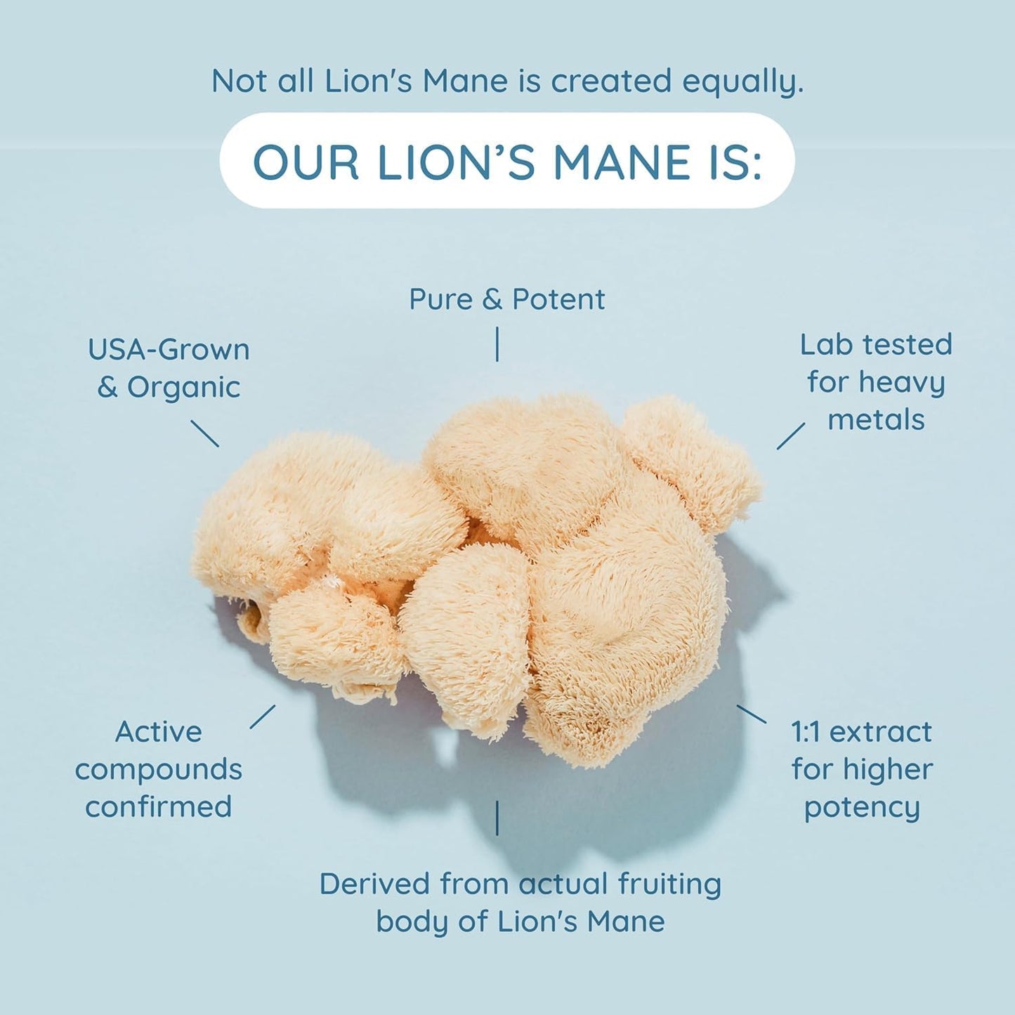 Bovine Colostrum Superfood Creamer Supplement Powder w/Organic Lions Mane Mushroom & Coconut Milk Powder MCTs | Functional Sugar Free Keto Coffee, Smoothie & Drink Mix Unsweetened