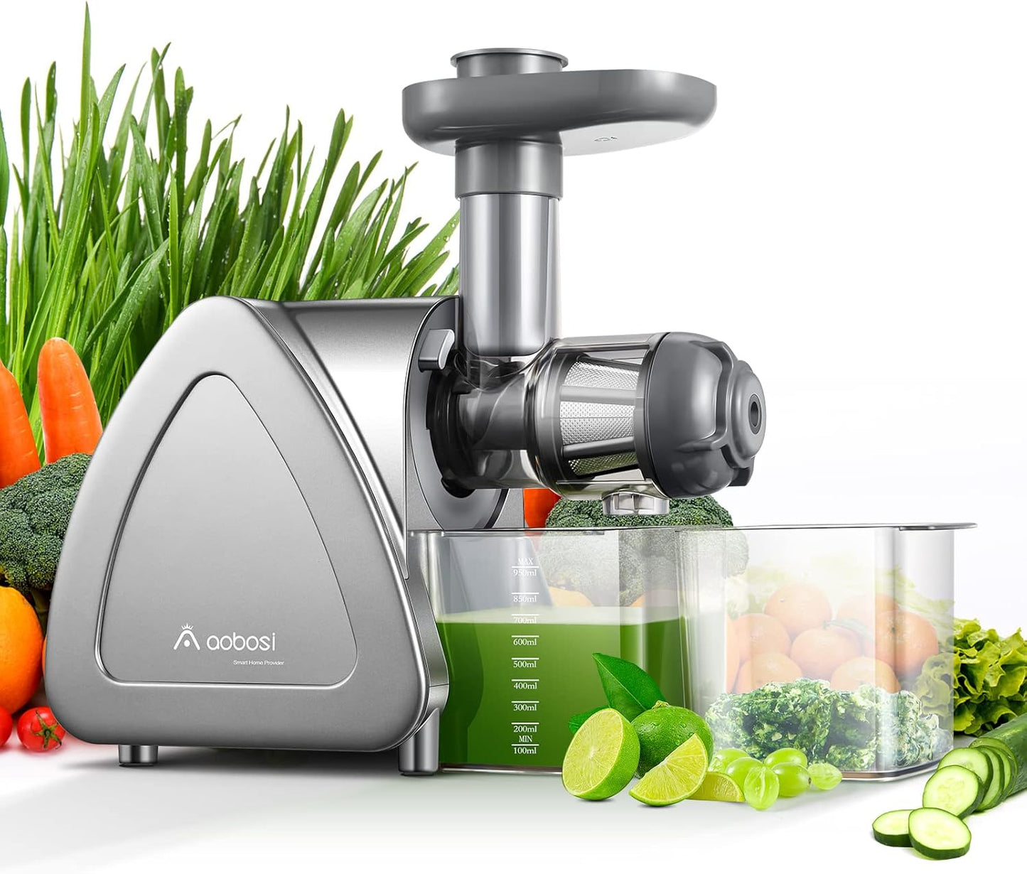 Juicer Machine, Aobosi Slow Masticating Juicers, Cold Press Juicer Machines with Reverse Function, Quiet Motor, High Juice Yield with Juice Jug & Brush for Cleaning (Gray)