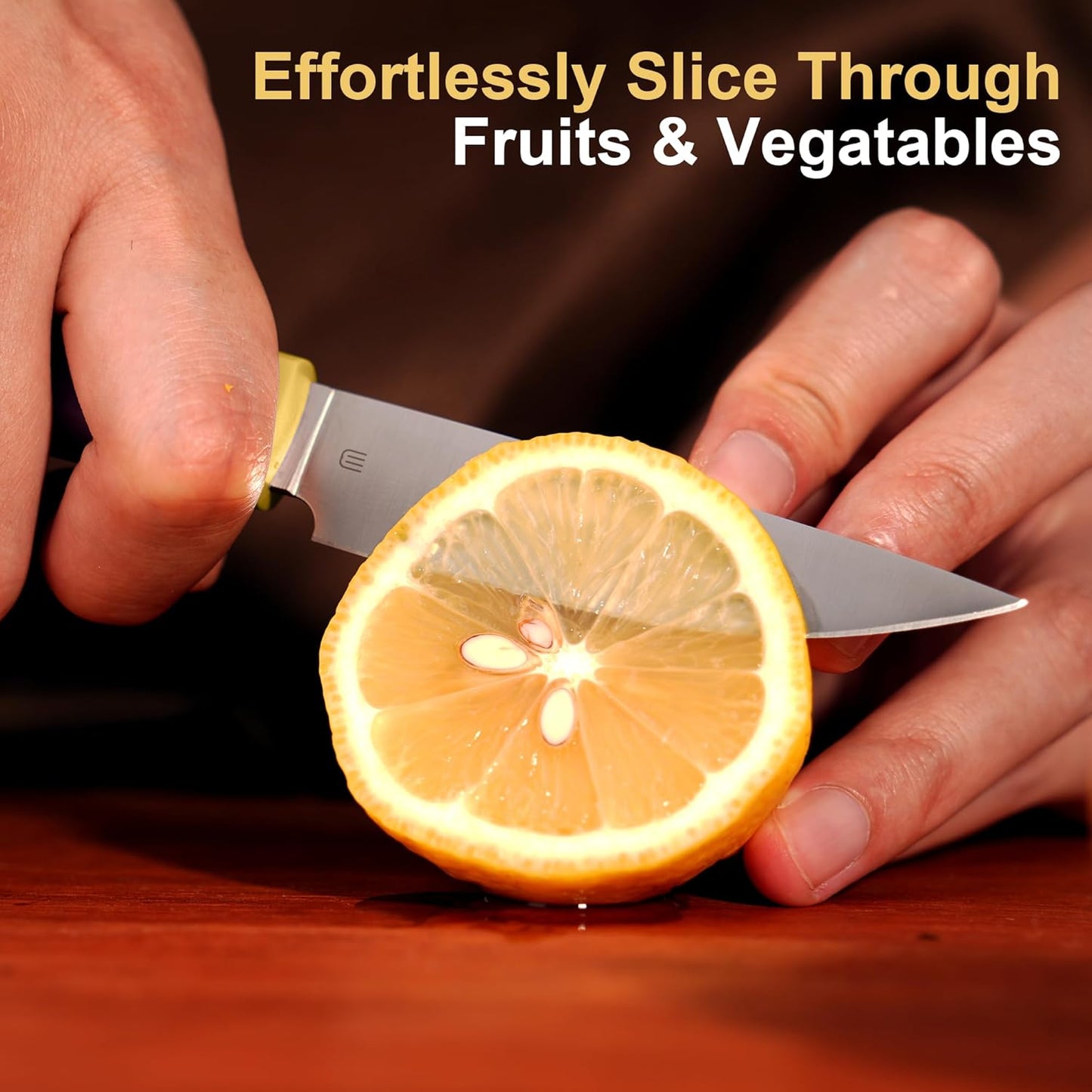 3.5 Inch Paring Knife, Small Kitchen Knife with AR-RPM9 Steel Replaceable Ergonomic Handle, Ultra Sharp Fruit Vegetable Knife for Peeling Coring Cutting