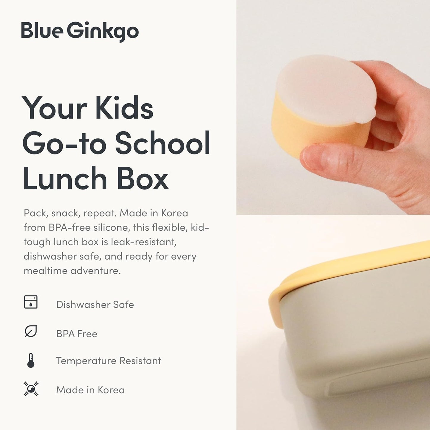 BLUE GINKGO Silicone Lunch Box Set – Durable Heavy-Duty Silicone Bento Box, Microwave, Freezer, Dishwasher Safe – Airtight, BPA Free (Made in Korea, Grey)