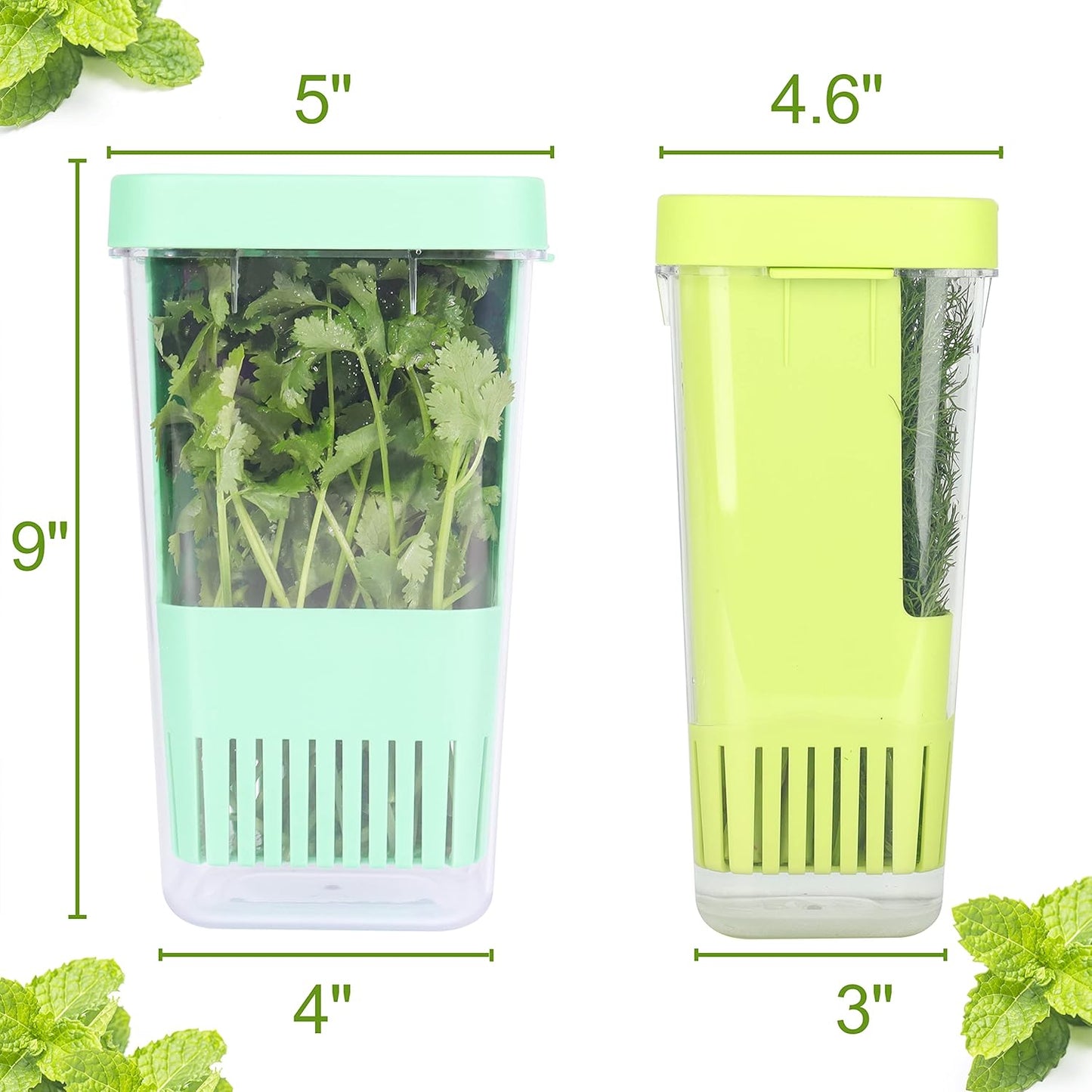 2 Pack Fresh Herb Keeper for Refrigerator, Clear BPA-Free Herb Saver, Storage Container for Cilantro, Parsley, Thyme, Mint & Asparagus, Preserver Keeps Fresh Herbs for 3 Times Longer