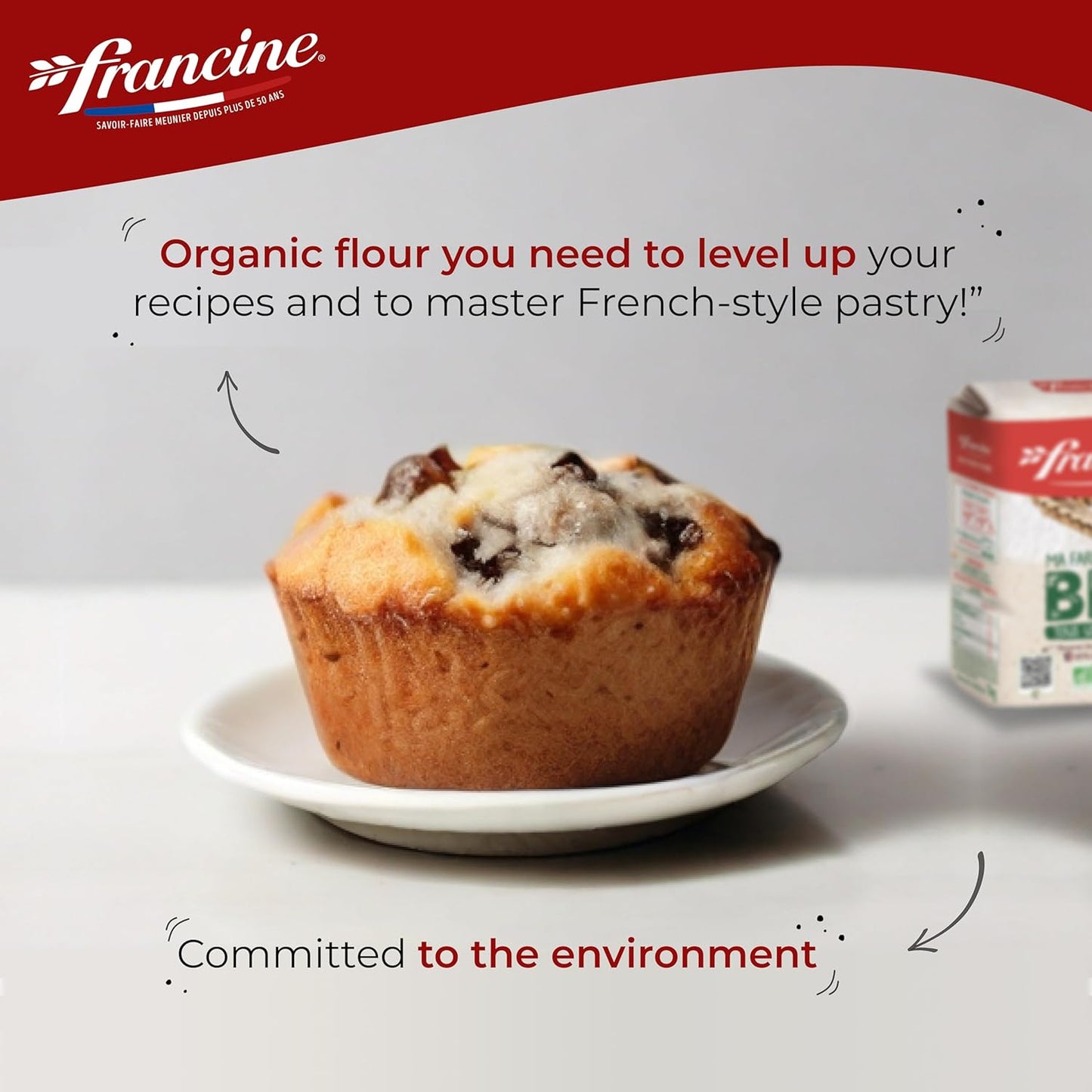 Francine Farne de Ble Bio - French T55 Organic All Purpose Flour (3 Pack, Total of 3kg)