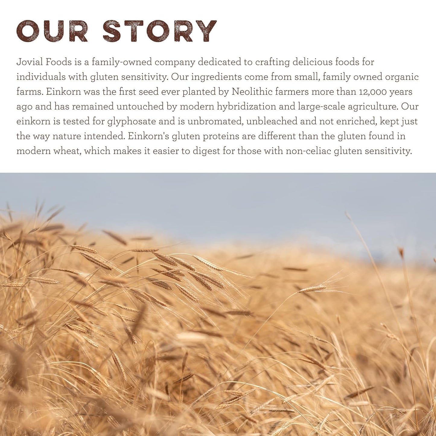 Jovial Organic Einkorn Whole Wheat Flour - Bread Baking Flour for Sourdough, High Protein, Non-GMO, Organic Pizza & Pasta Flour, European Italian Flour, Glyphosate Free - 32 Oz, 3 Pack