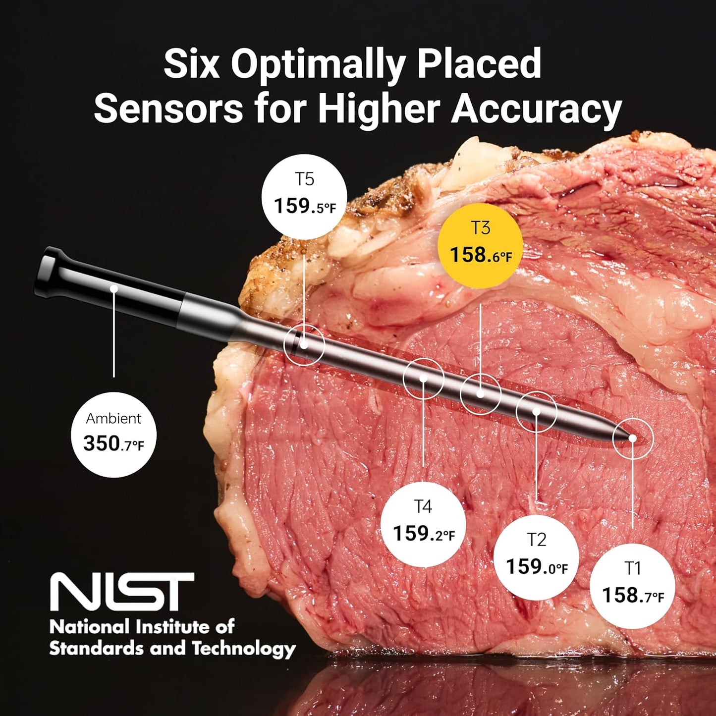 Wireless Bluetooth Smart Meat Thermometer: Standalone Base, WiFi Thermometer with Sub-1G, 6 Sensors NIST Certified Accuracy, 4 Probes, for Kitchen, BBQ, Grill, Oven, Smoker, Rotisserie