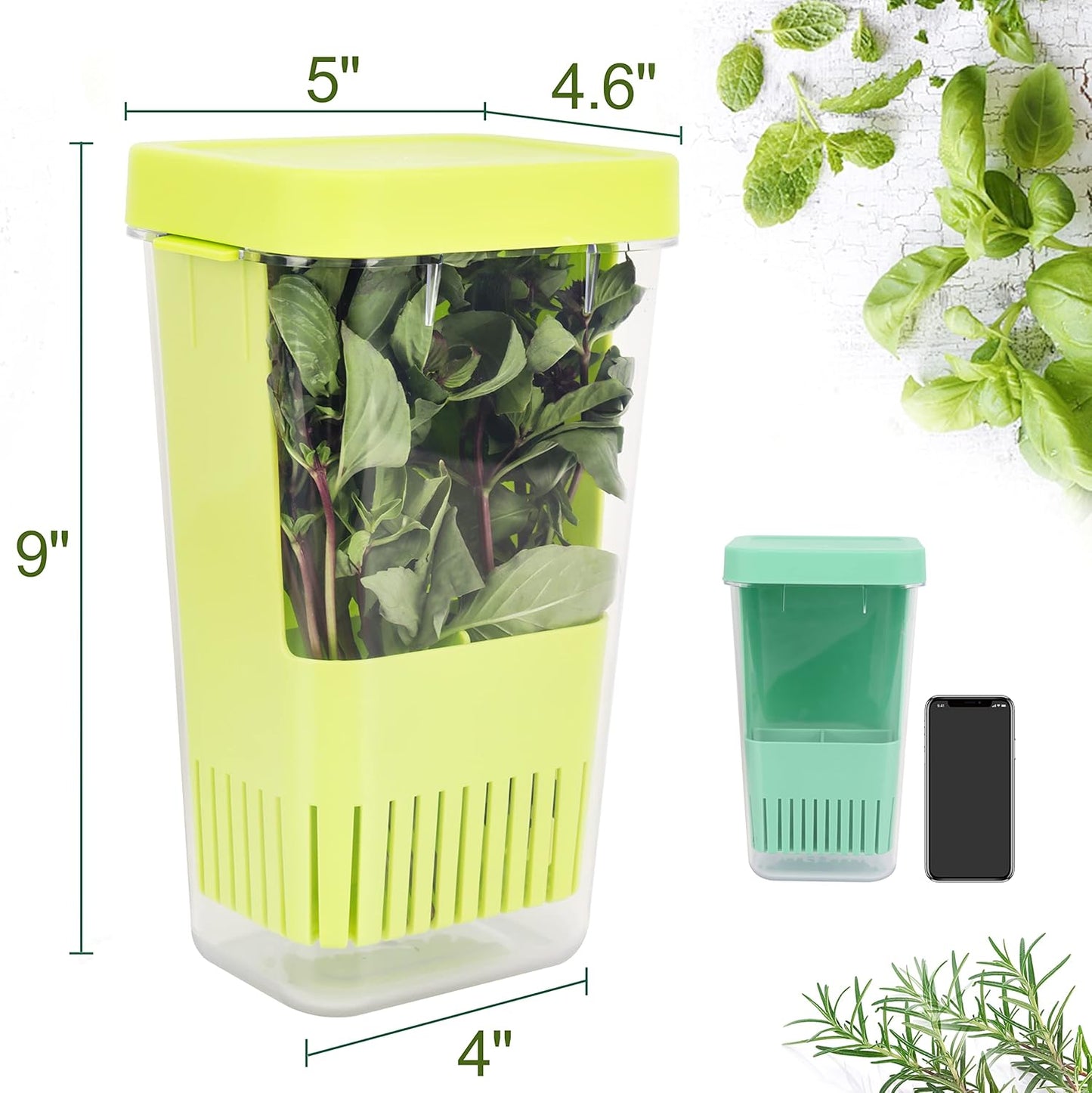 3 Pack Herb Keeper, BPA-Free Plastic Herb Saver with an Inner Basket for Cilantro, Mint, Parsley, and Asparagus, Keeps Fresh Herbs for 3 Times Longer