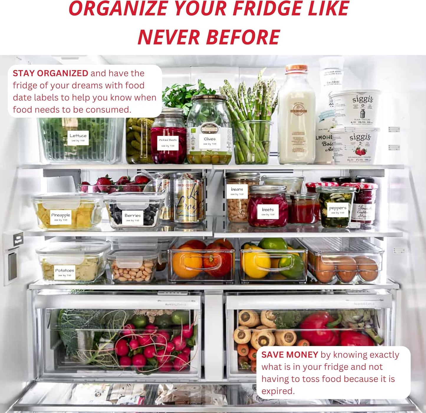 2x3 Dissolvable Food Labels, 500 Label Stickers, Bottle Labels for Storage Bins, Sticker Labels for Food containers, (500, Blank)